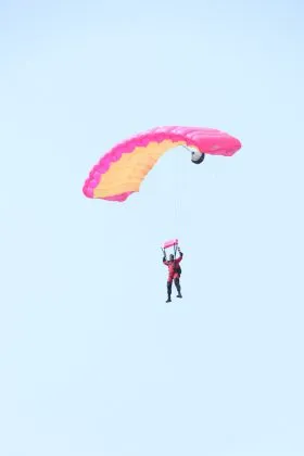 publive-image