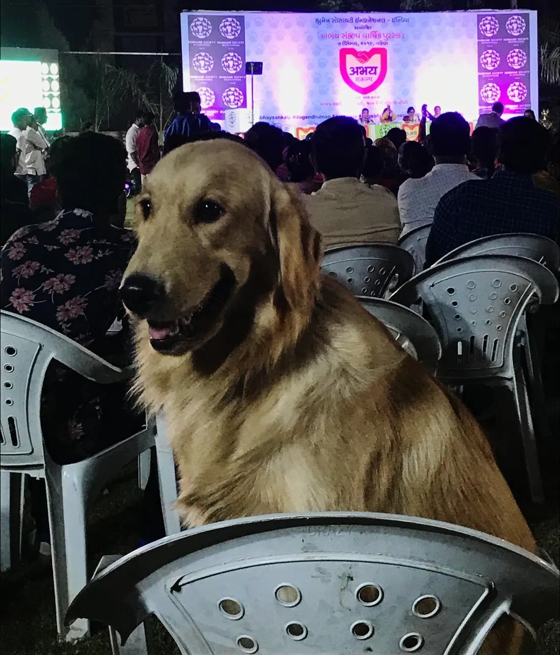 publive-image