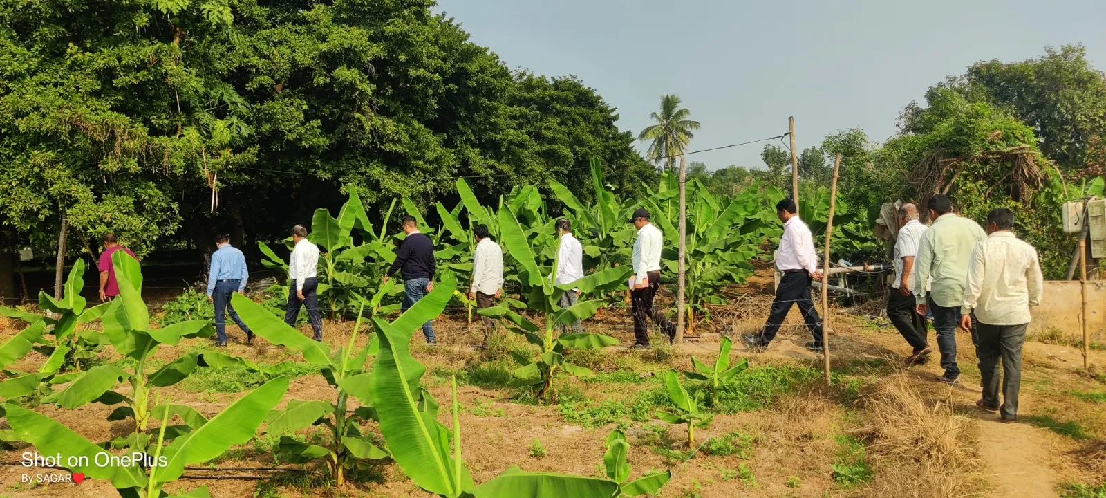 Natural Farming Bharuch