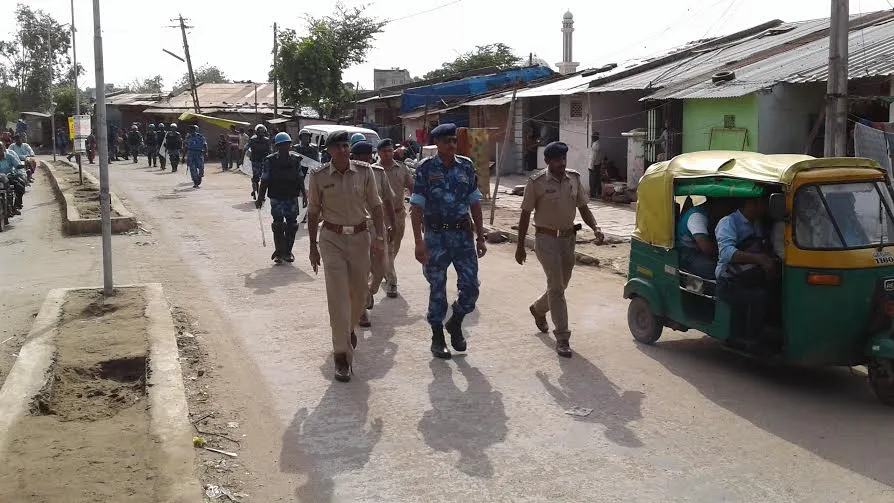 palej 1