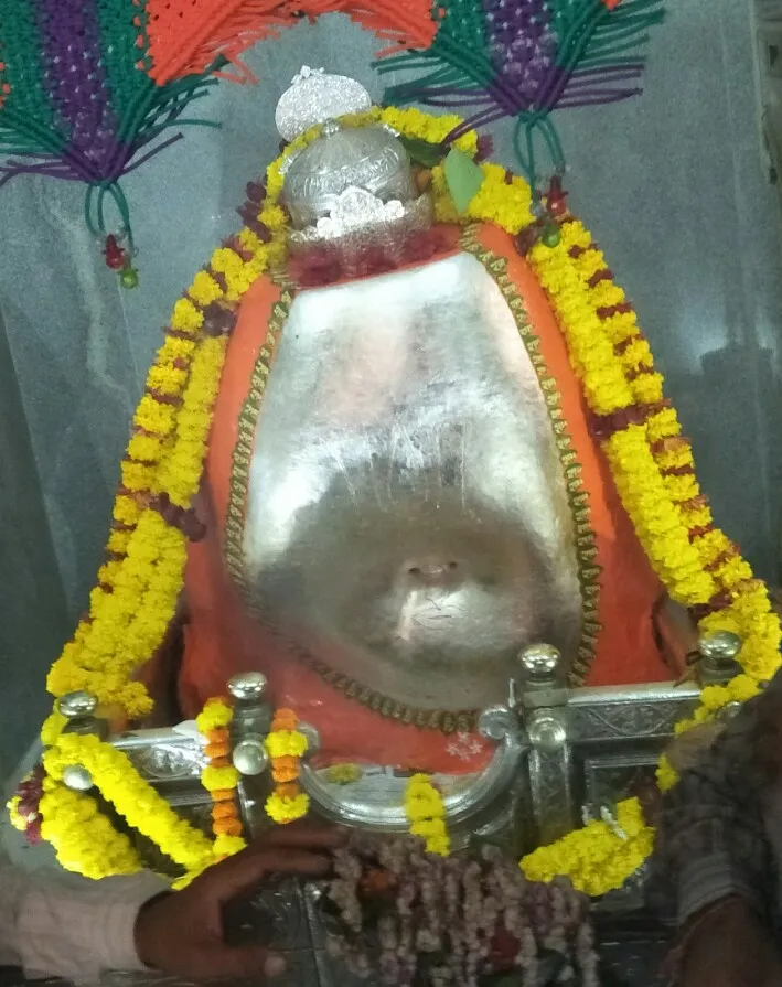 ભરૂચ