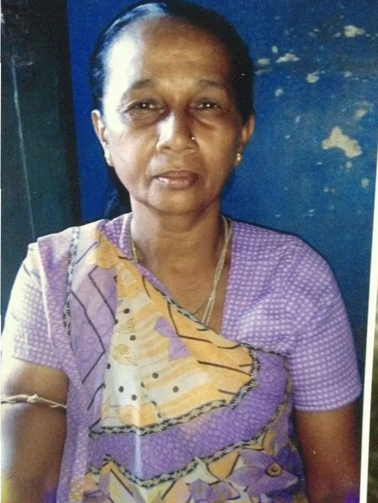 વલસાડના 