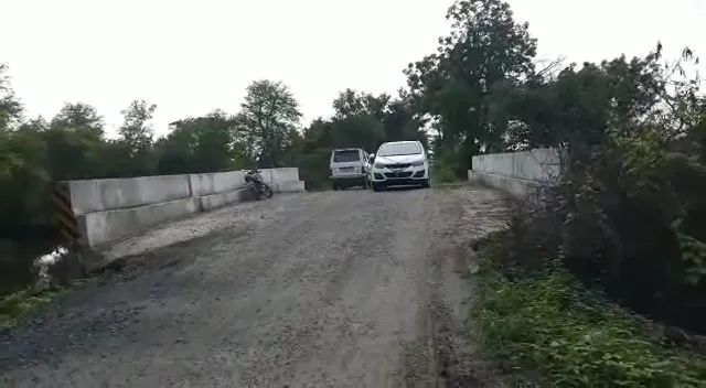 publive-image