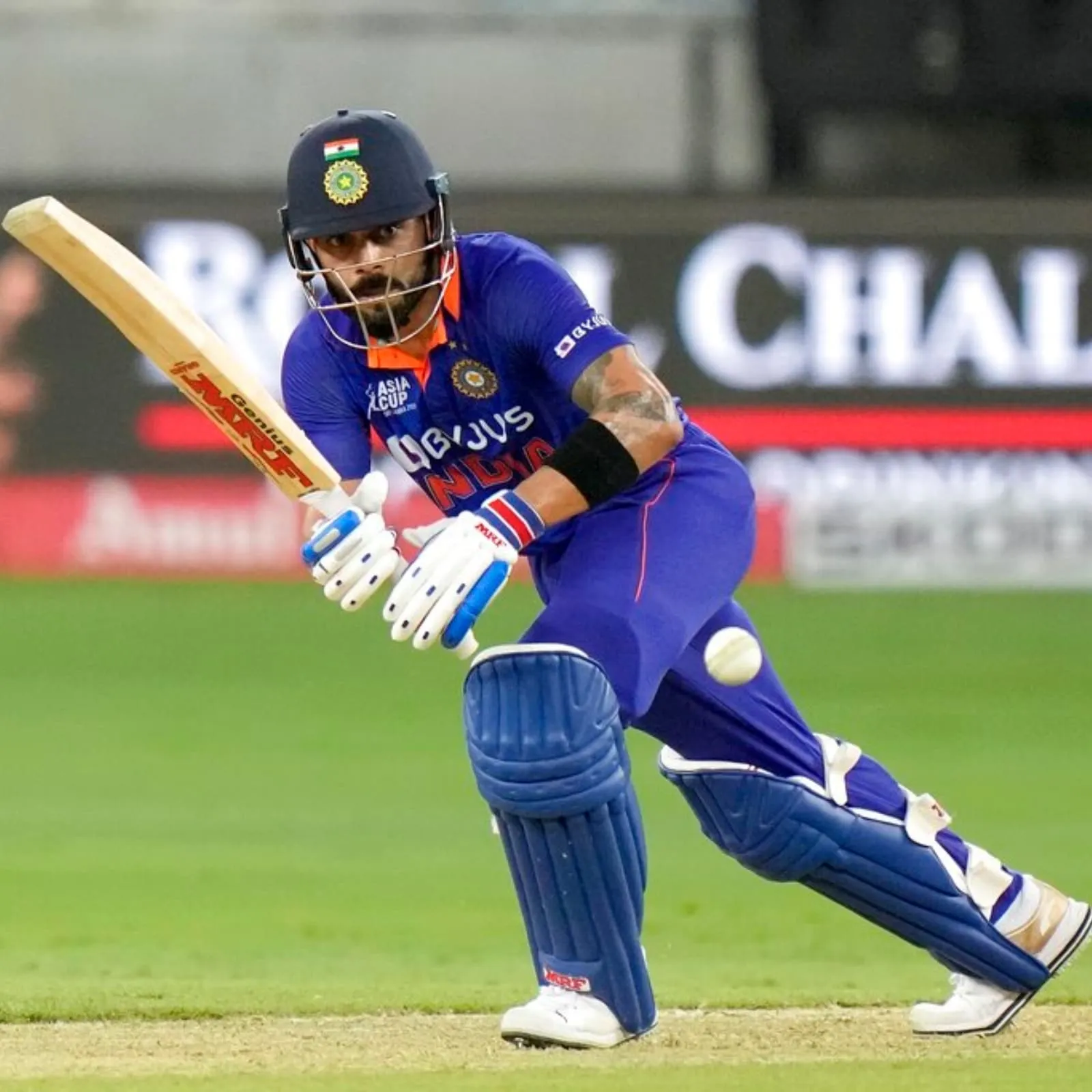 For me Milestone or Number of Runs Are Irrelevant': Mentally Fresh Virat Kohli Enjoying Batting at Asia Cup 2022