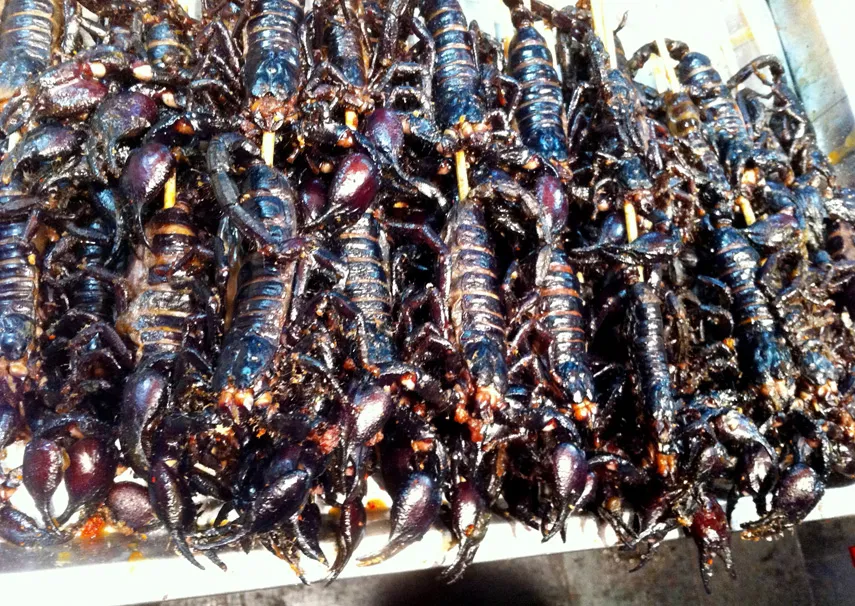 https://img-cdn.thepublive.com/filters:format(webp)/cricket-addictor-hindi/media/post_attachments/blog/wp-content/uploads/2013/05/big-scorpions.jpg