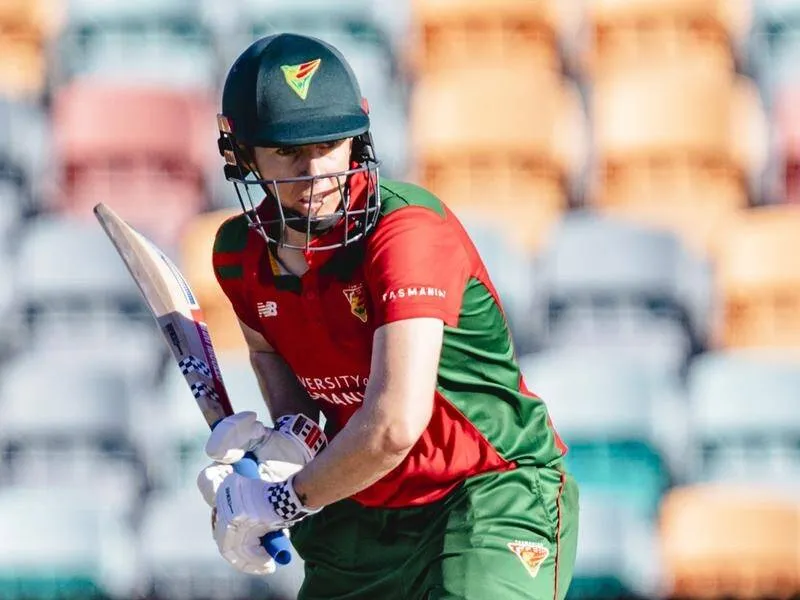 Villani century, Tasmania post 264 in WNCL final | Newcastle Herald | Newcastle, NSW