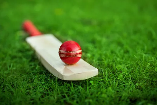 leather Cricket ball resting on a cricket bat placed on green grass cricket ground pitch Stock Photo | Adobe Stock