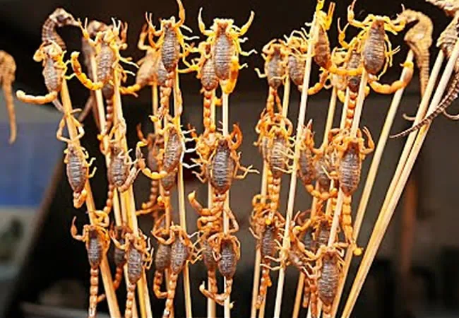  Chinese cricket team cricketer Wei Guo Lei eats snakes and scorpions 