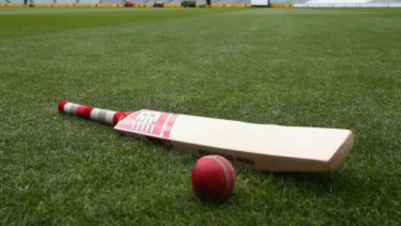 Cricket