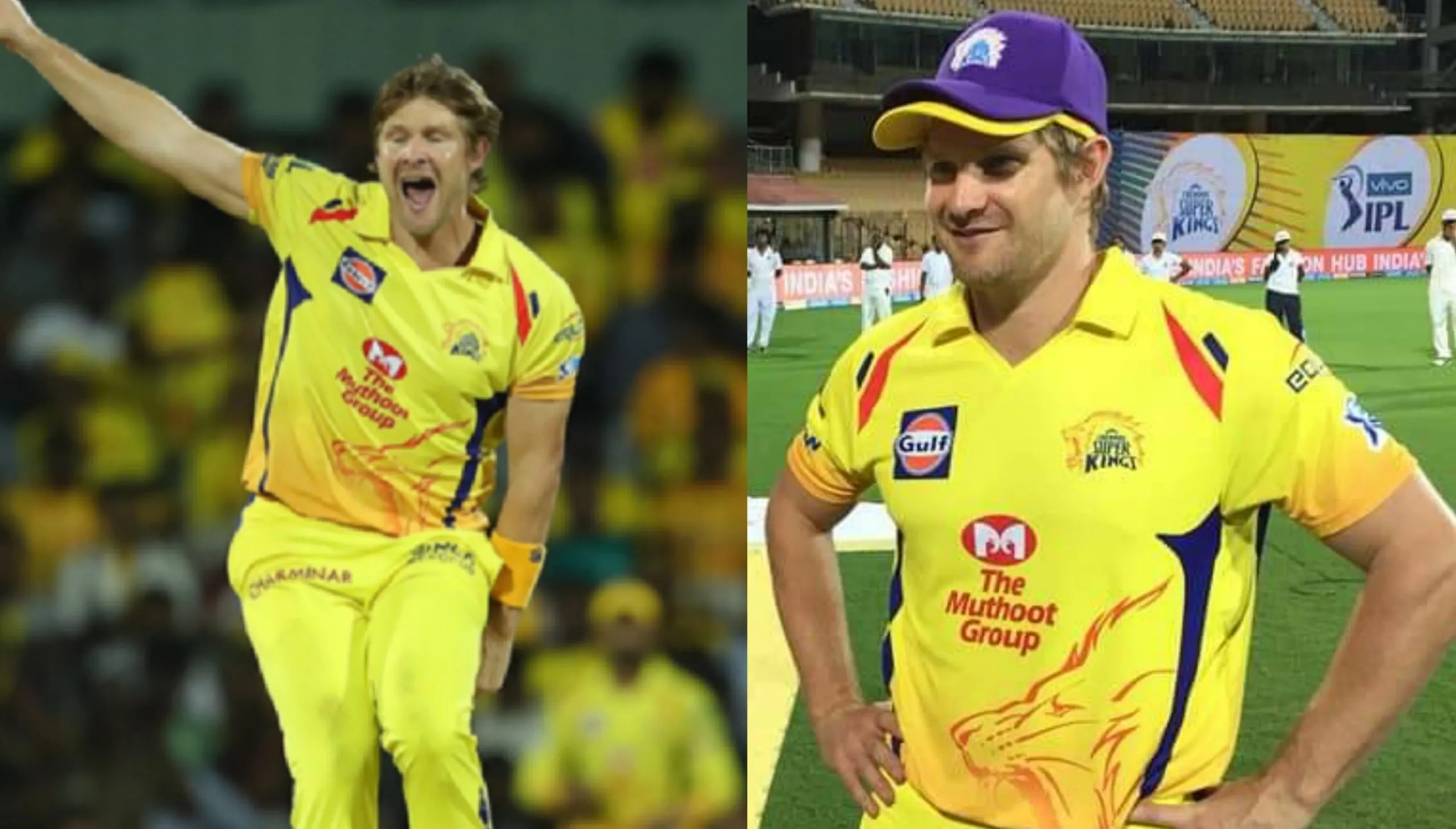 shane watson 