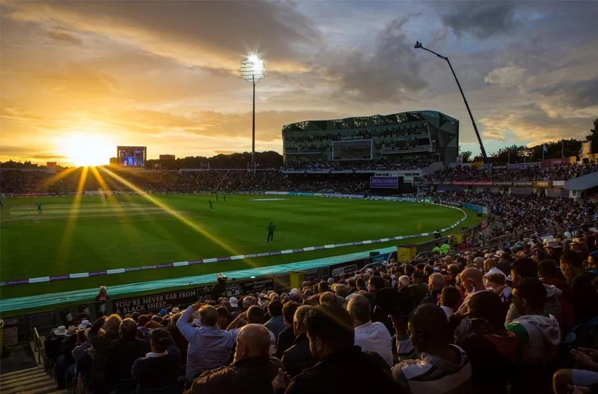 cricket