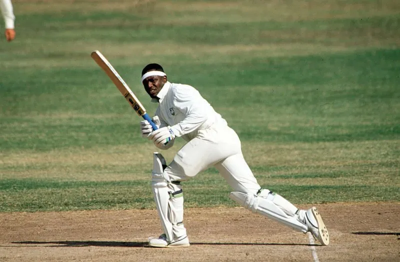 haynes cricket