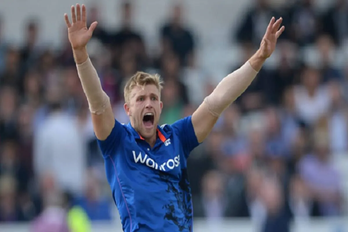 david willey