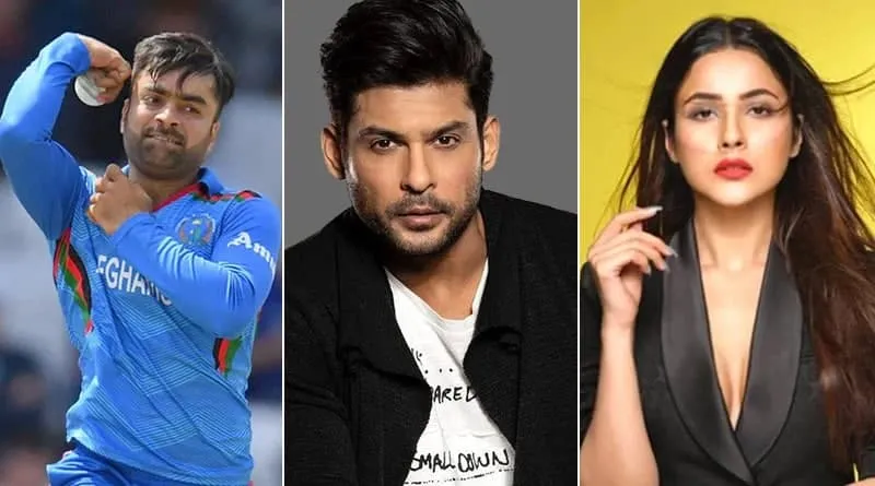  Rashid khan on Shehnaaz Gill Song