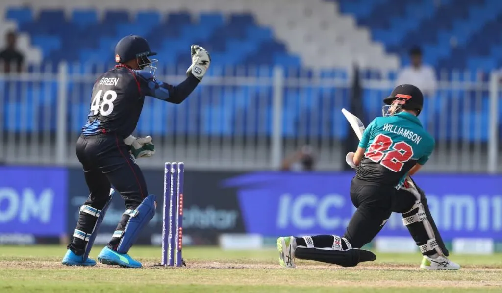 Kane Williamson