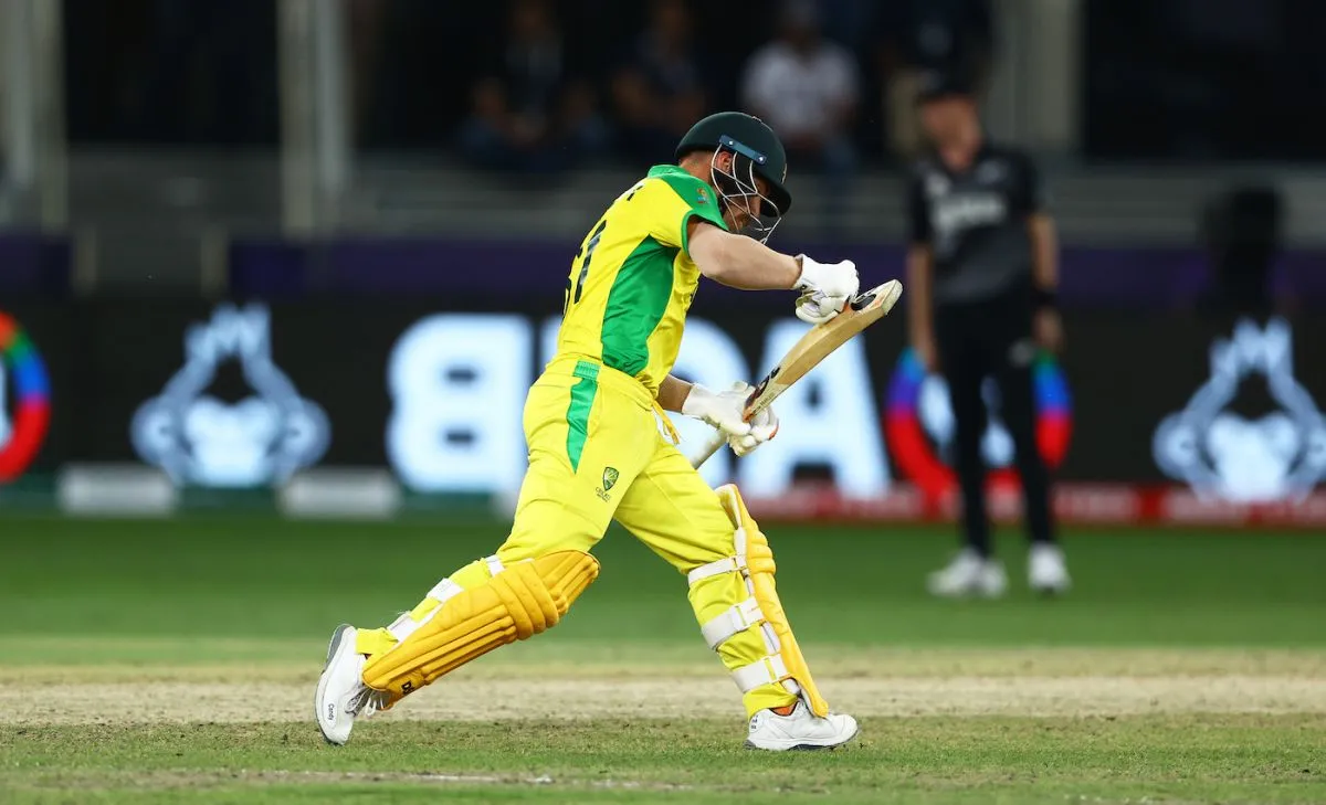 David Warner