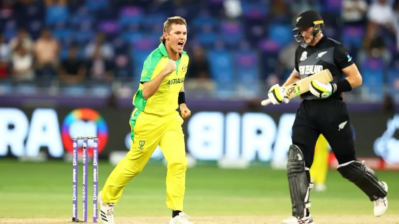 steve smith on T20 WC 2021 Final Match