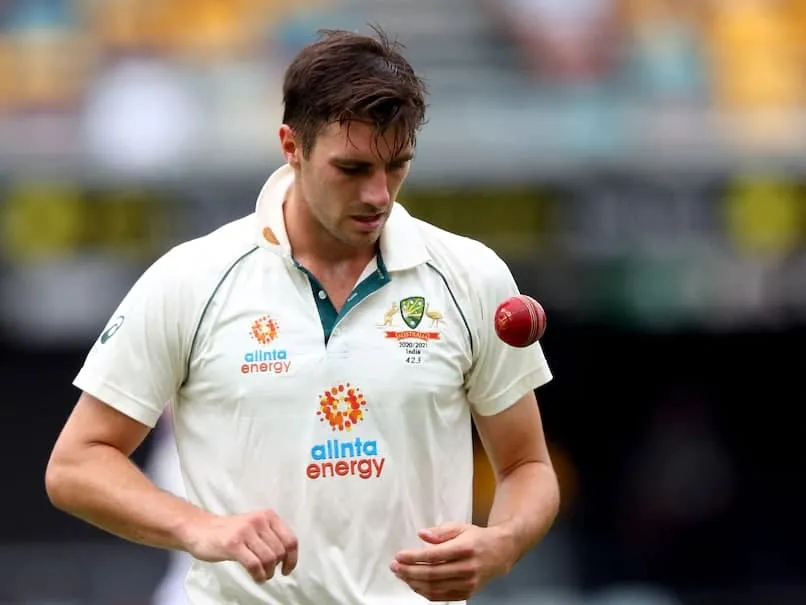 Tim paine