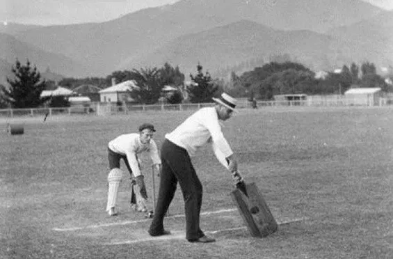 Cricket Bat
