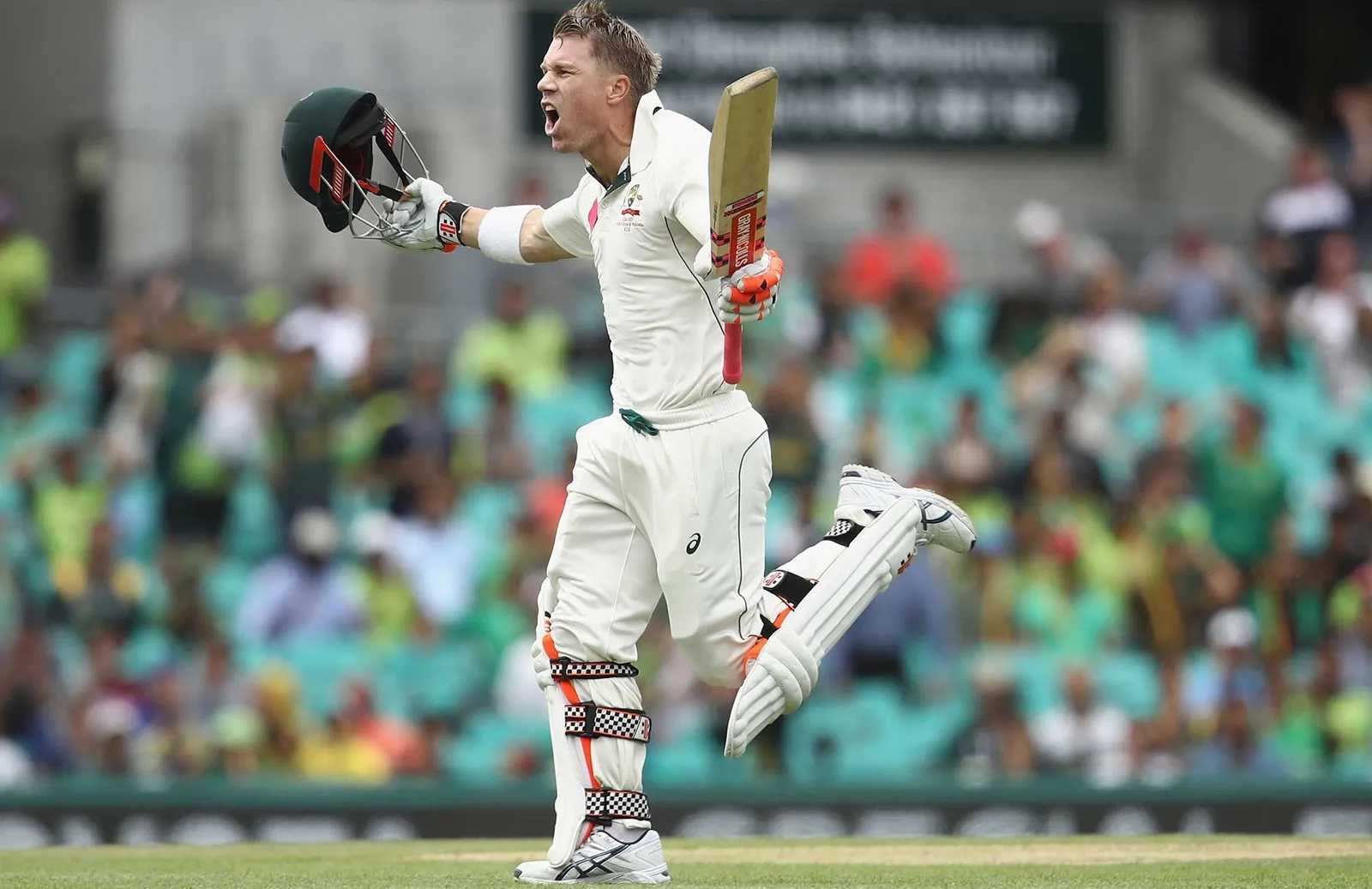 david warner