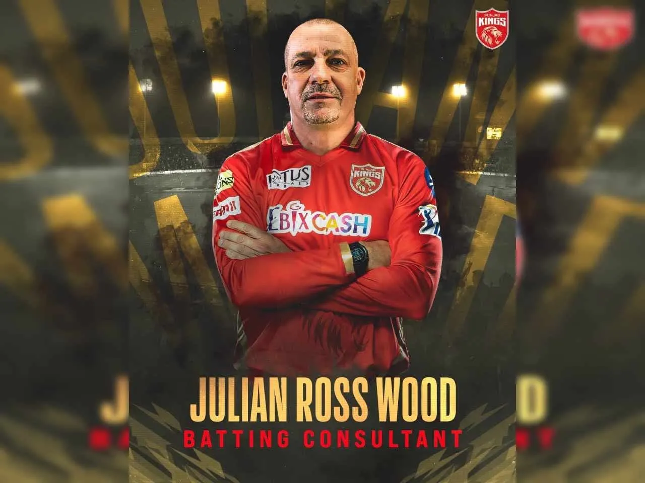  julian ross wood power hitting batting coach