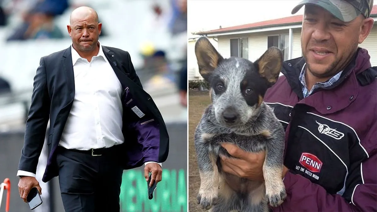  Andrew Symonds dogs