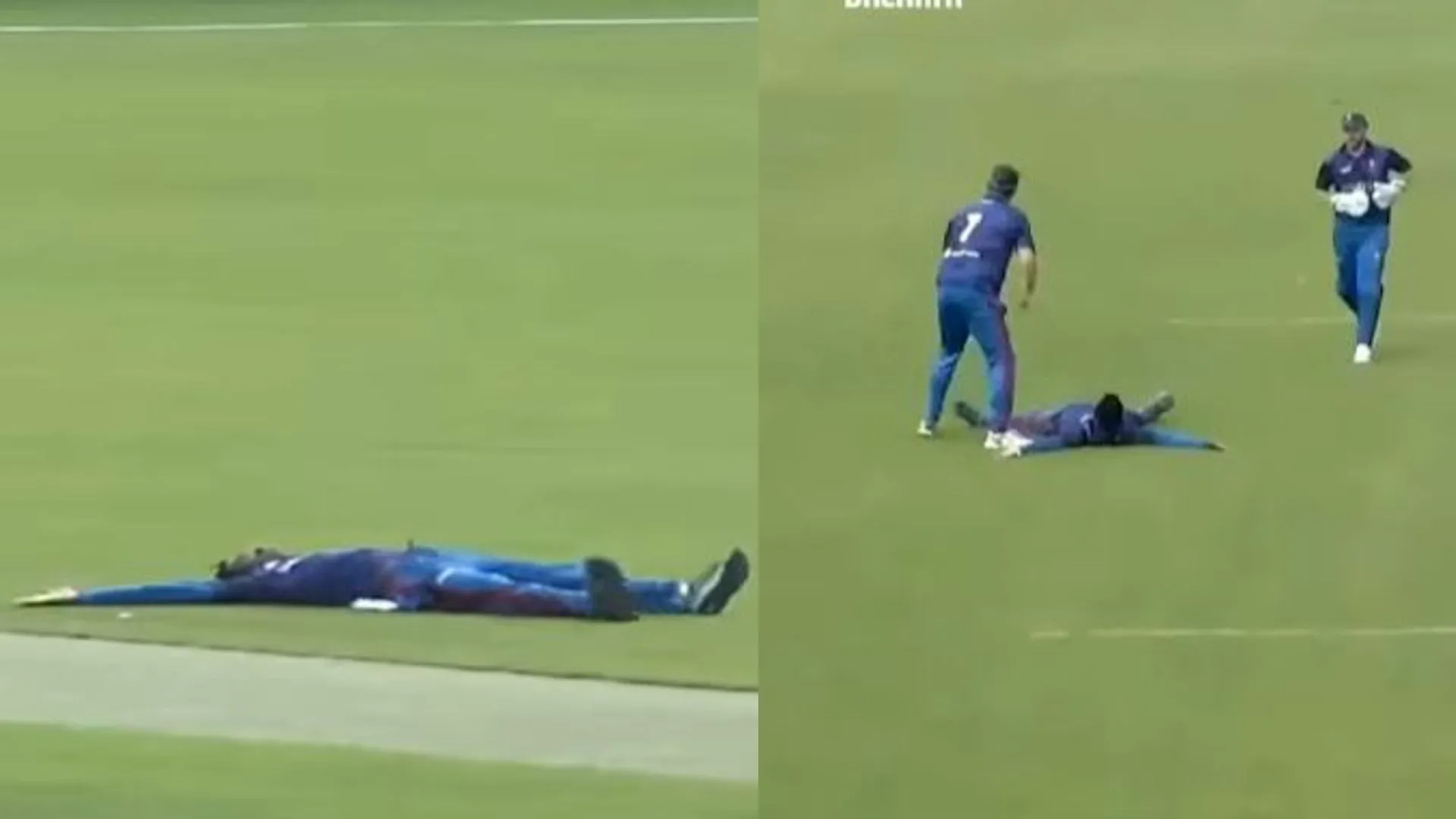 ayo mene ejegi wicket celebration Video