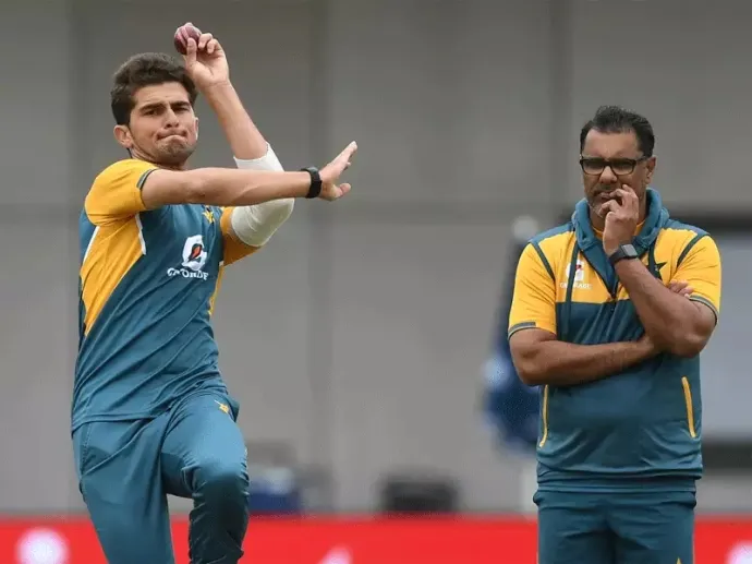 Waqar Younis-Shaheen Afridi