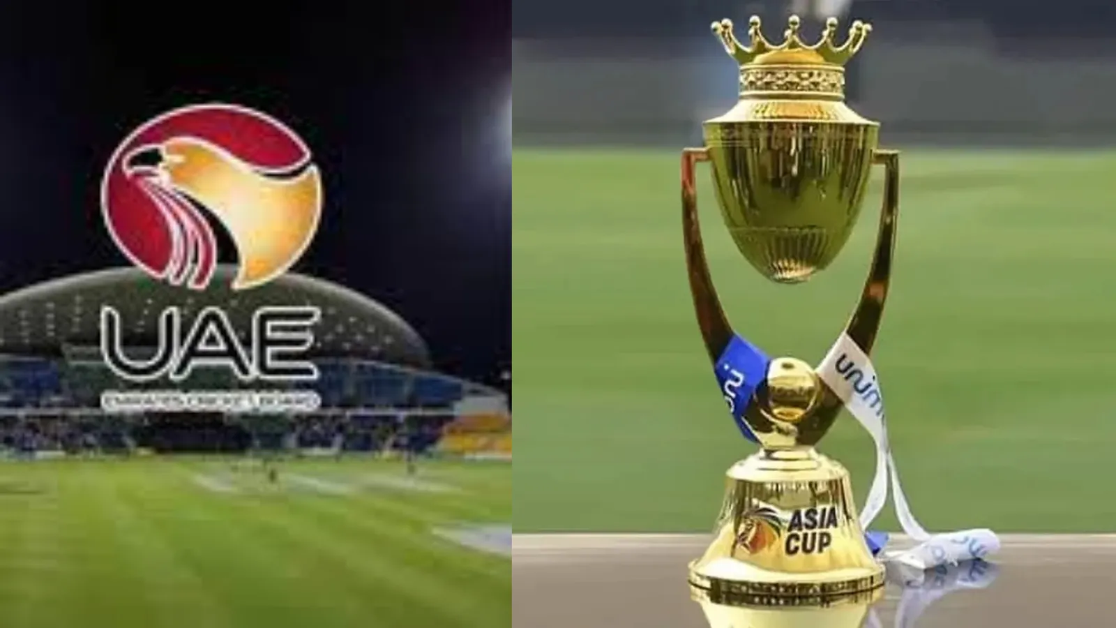 ECB Asia Cup 2022