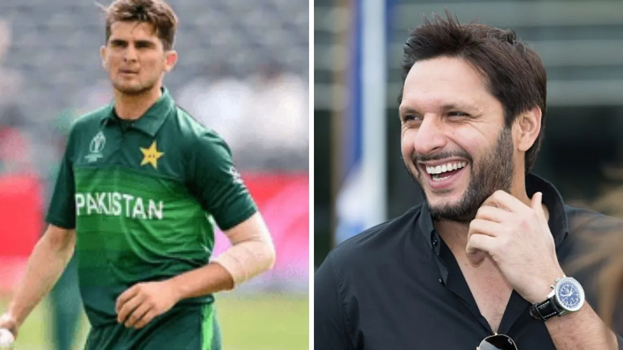 shaheen afridi