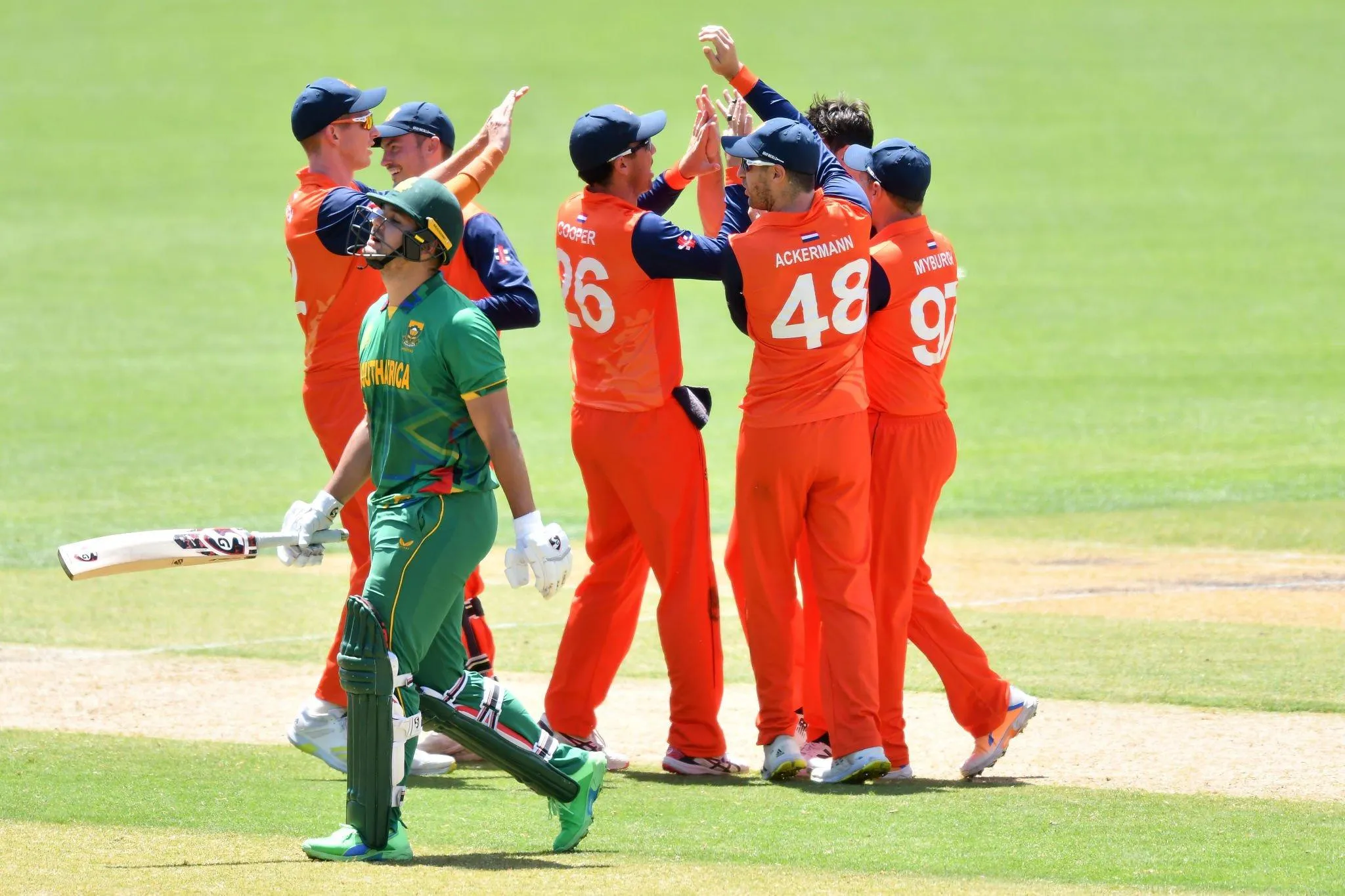 NED vs SA: नीदरलैंड्स से मिली हार के बाद पाक फैंस ने उड़ाया साउथ अफ्रीका का मजाक