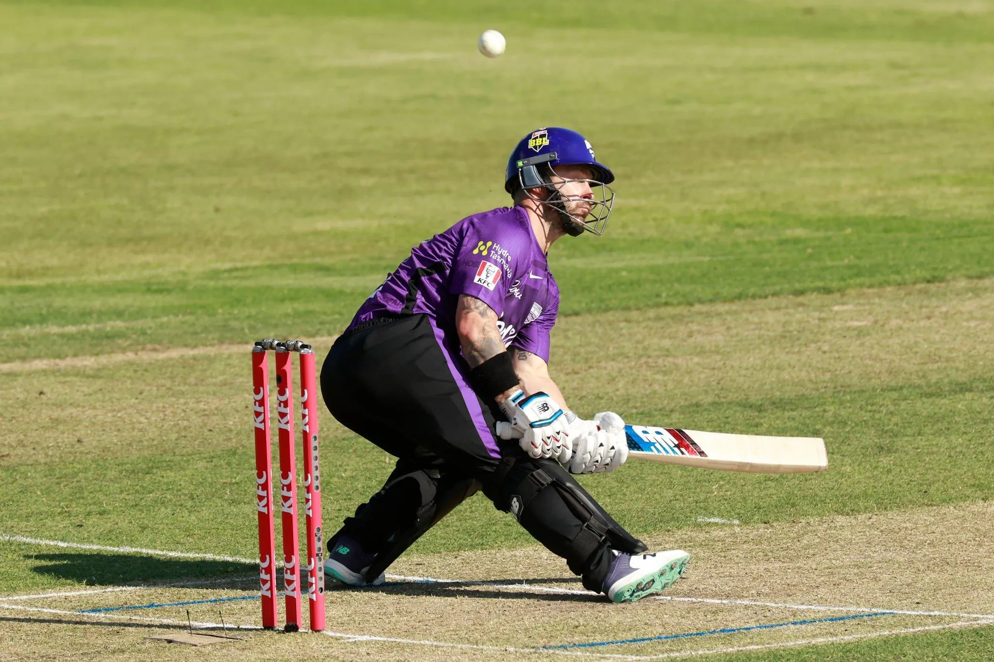 Matthew Wade