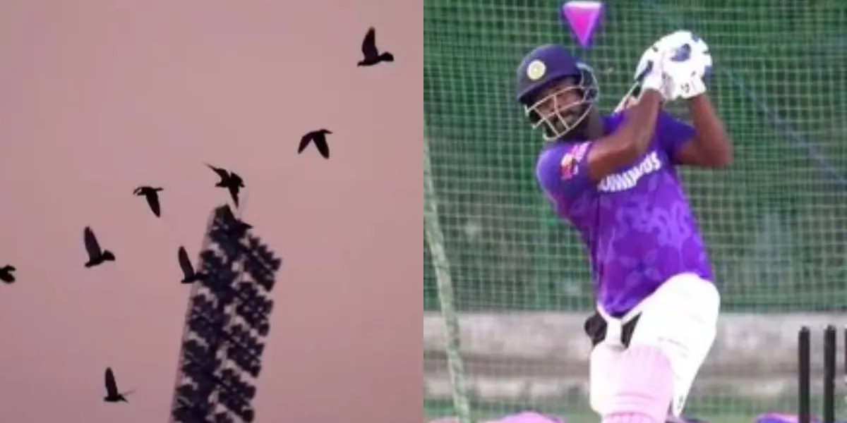 Sanju Samson Six Video: सैमसन के शॉट से कौए को बचानी पड़ी जान
