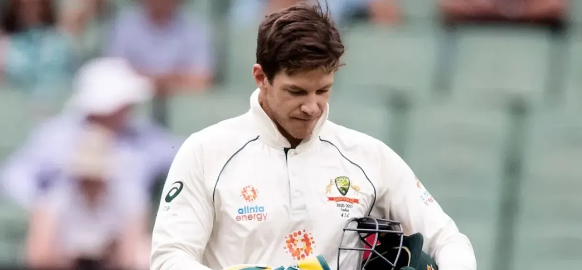 Tim Paine Bigg Bash