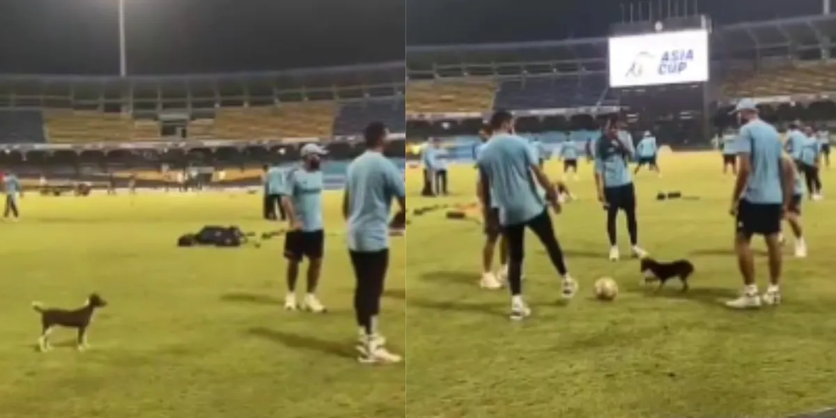 Team India seen playing football with dog ahead of IND vs PAK in Asia Cup 2023 super 4