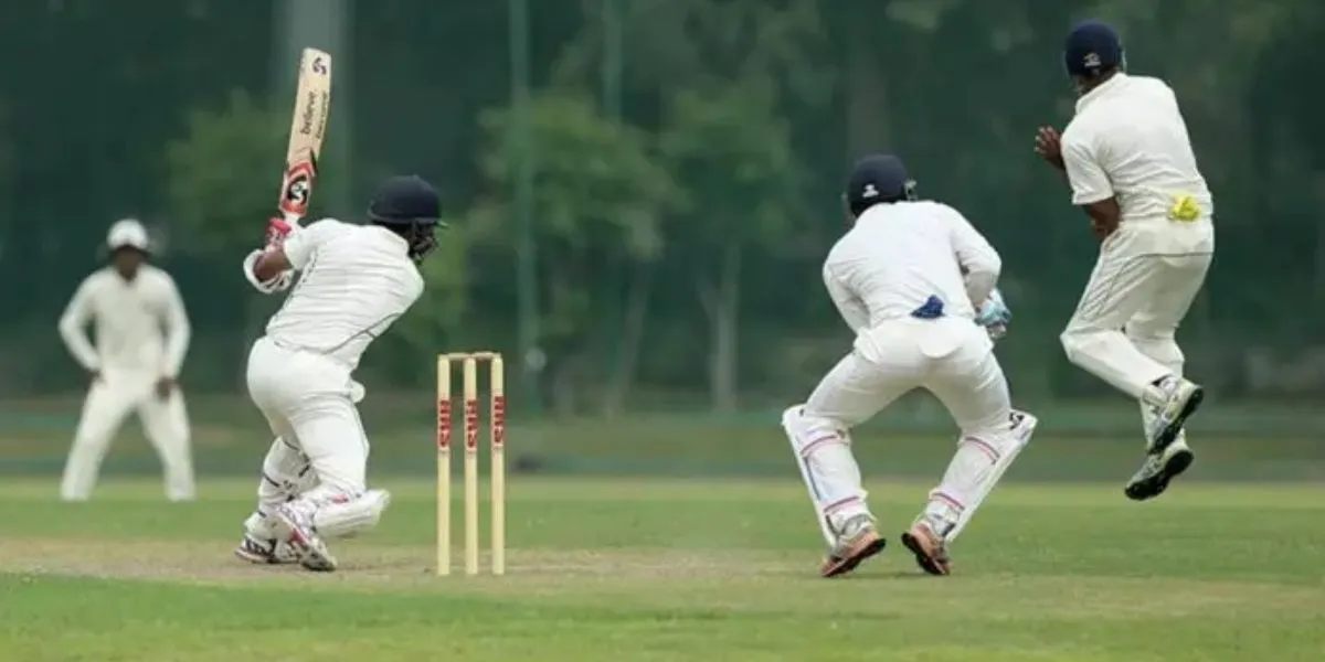 Cricket