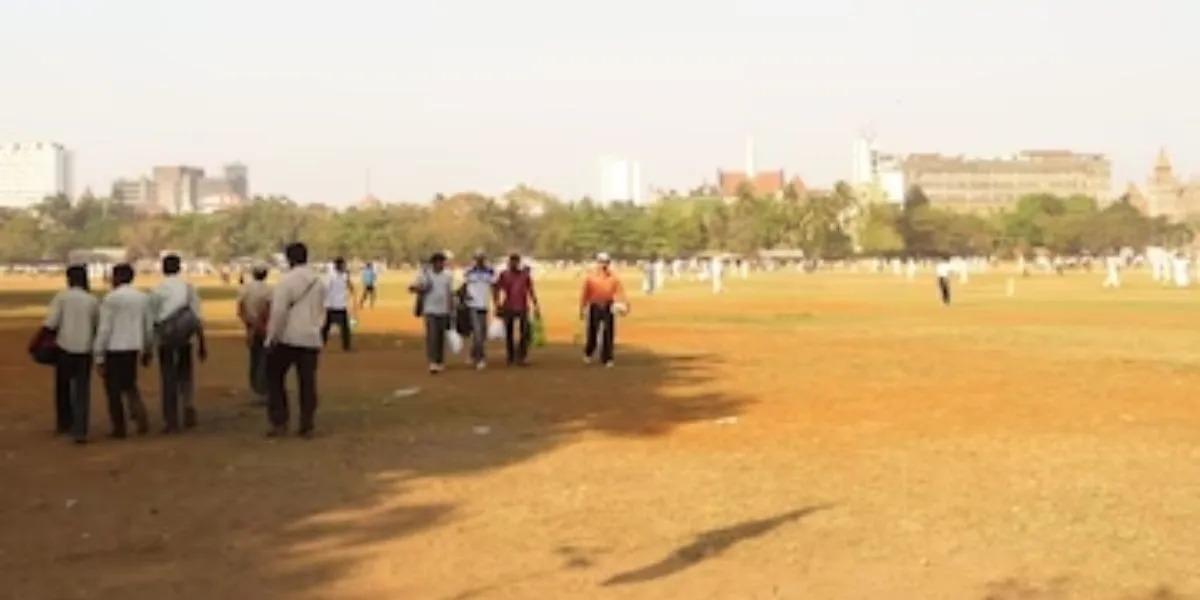 Cricket