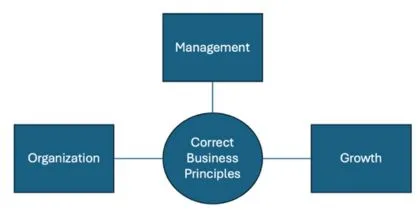 Business Principles-figure 4