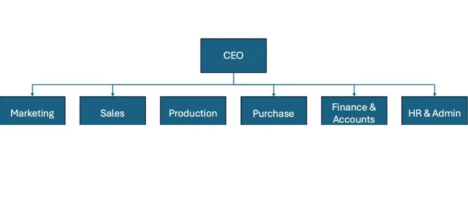 Functional Structure of an organisation