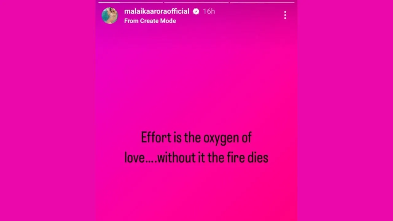 Malaika ARORA CRYPTIC STORY