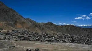 publive-image