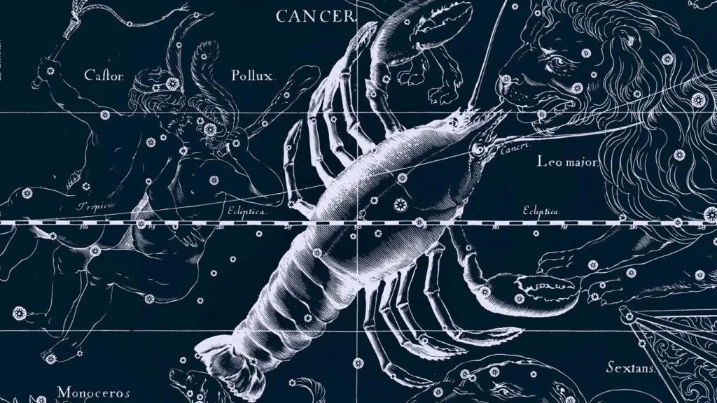publive-image