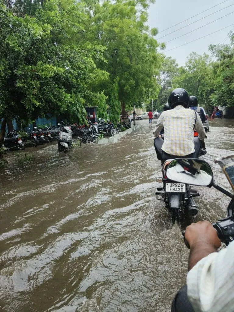 publive-image