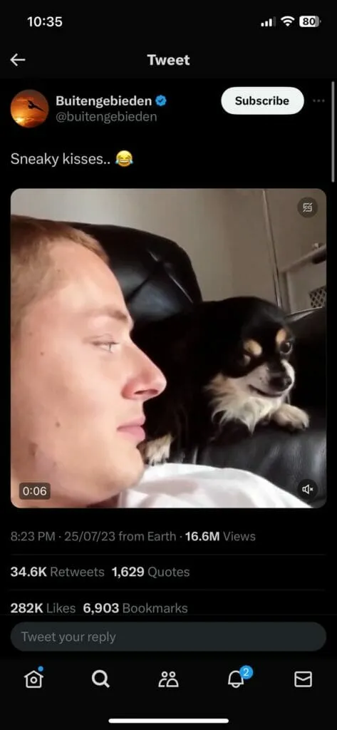 publive-image