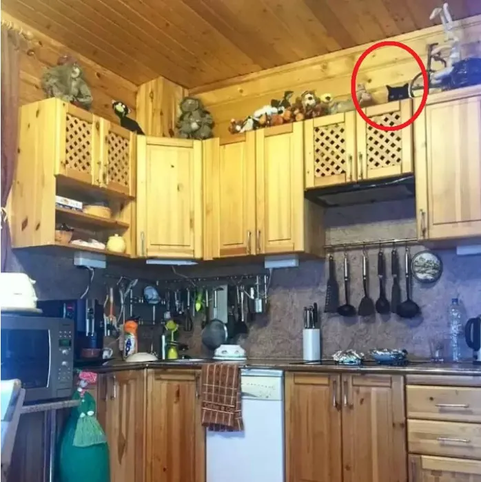 publive-image