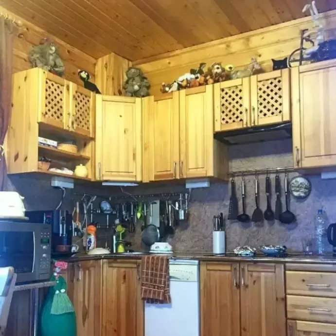 publive-image