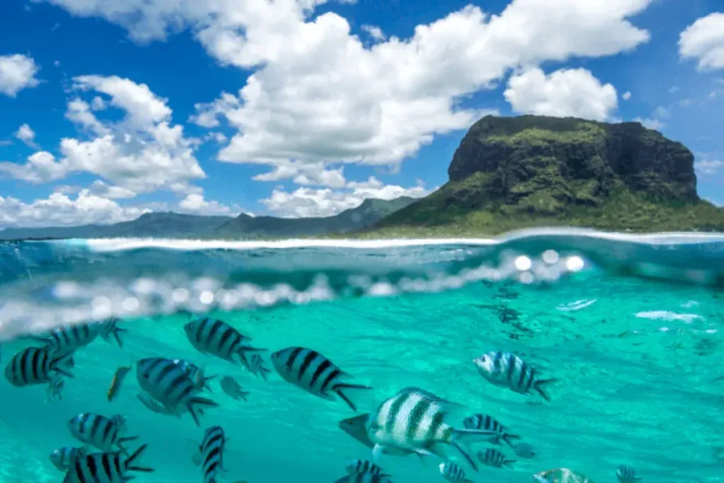 Mauritius