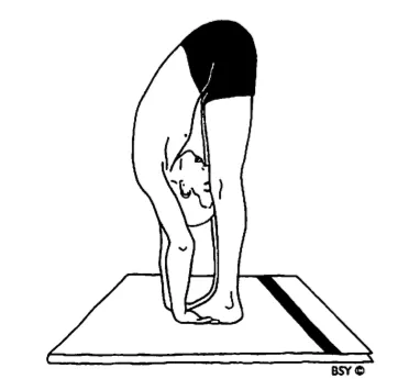 International Yoga Day 2024