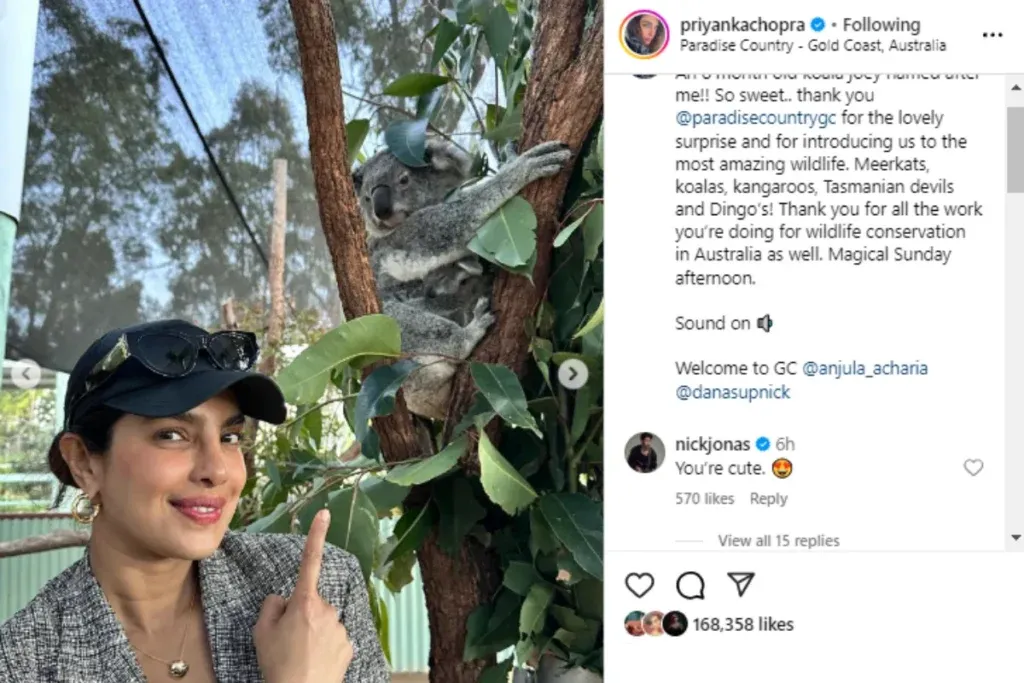 Priyanka and Nick
