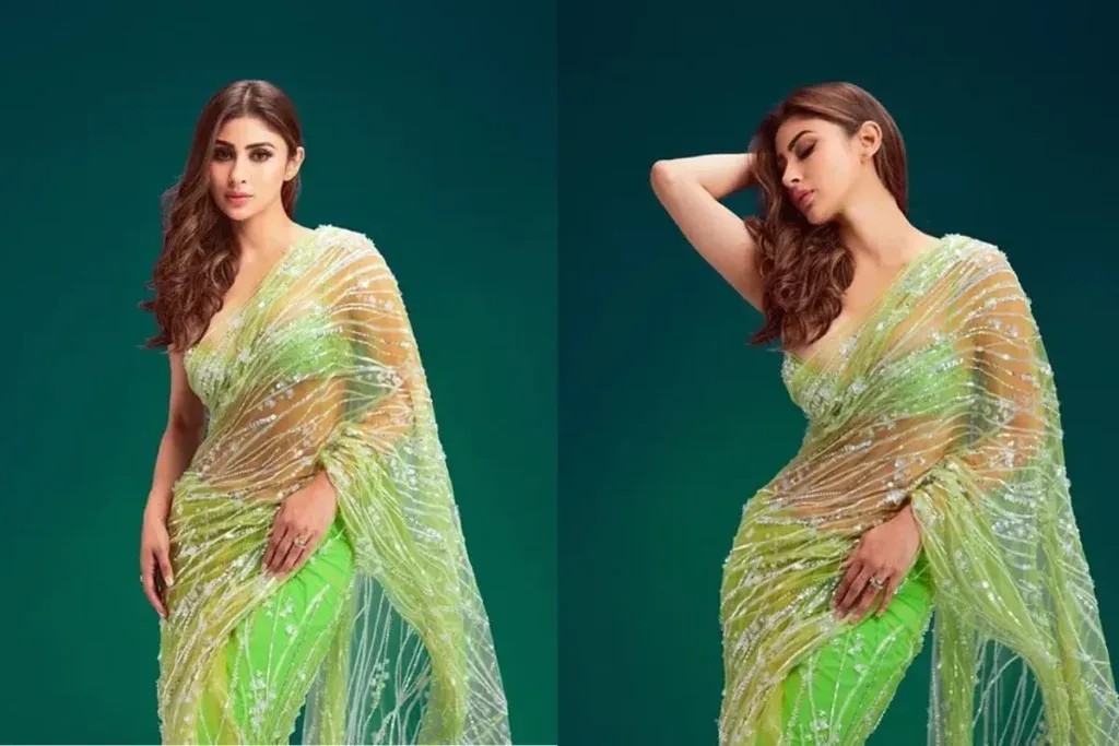 Mouni Roy Saree Look